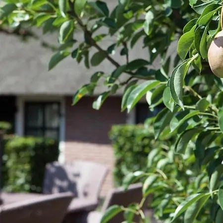 Bed & Breakfast Willemshoeve Prive Wellness Suite *